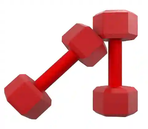  FitBox Sports 4kg Hexa PVC Dumbbells (2kg x 2) RED